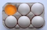 Egg Stock Photo