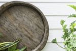 Round Rough Wood With Green Plant Stock Photo