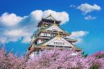 Osaka Castle And Cherry Blossom In Spring. Sakura Seasons In Osaka, Japan Stock Photo