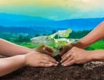 Human Hand Planting Young Plant Together On Dirt Soil Against Beautiful Sun Light In Plantation Field Use For Natural Conceptual And Save Nature To Future Stock Photo