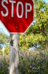 Stop Sign In Fall Stock Photo