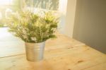 Simply Plant Bucket Decorated On Wooden Table Stock Photo