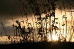 Sunrise Across Essex Stock Photo