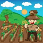 Farmer And Rice A Harvest  Illustration Cartoon Stock Photo