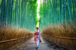 Bamboo Forest. Asian Woman Wearing Japanese Traditional Kimono At Bamboo Forest In Kyoto, Japan Stock Photo