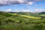 Val D'orcia, Tuscany/italy - May 17 : Farmland In Val D'orcia Tu Stock Photo