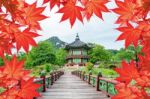 Gyeongbokgung Palace With Colorful Autumn Leaves In Seoul, South Korea Stock Photo