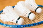 Close Up White Shuttlecock On Wooden Background Stock Photo