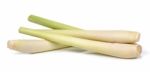 Lemon Grass Isolated On The White Background Stock Photo