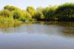 Autumn Scenery Near A Lake With Yellow Leaves On  Trees In Fall Stock Photo