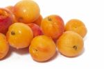 Armenian Plums (prunus Armeniaca) Stock Photo