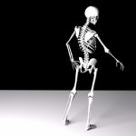 Skeleton Stock Photo