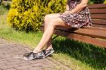 Woman Sitting On A Park Bench Stock Photo