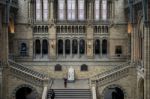 Woman Taking A Photograph In The Natural History Museum In Londo Stock Photo