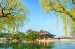 Gyeongbokgung Palace In Spring,korea Stock Photo