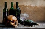 Still Life With A Skull Stock Photo