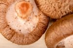 Shiitake Mushrooms Stock Photo