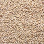 Wheat Background Stock Photo