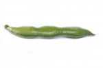 Broad Beans Stock Photo