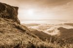 Landscape In Vintage Sepia Color Style Stock Photo