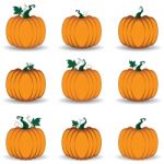 Pumpkin Set Isolated On White Background Stock Photo