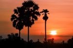 Silhouette Landscape Sunset Background Stock Photo