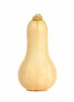 Butternut Squash Isoalted On The White Stock Photo