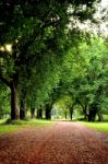 Road In A Garden Stock Photo