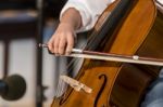 Boy Plays Cello Stock Photo