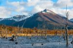 Lake Escondido, Isla Grande De Tierra Del Fuego, Argentina Stock Photo