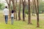 Couples Walk Hand In Hand Stock Photo