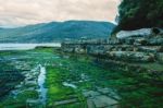 Tessellated Pavement In Pirates Bay Stock Photo