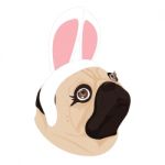 Lady Dog Rabbit On White Background Stock Photo