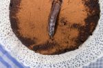 Homemade Carob Bean Cake Stock Photo