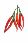 Red Chili On White Background Stock Photo