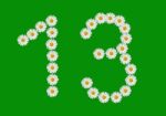 Number 13 Made In Daisy Flower Stock Photo