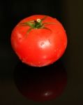 Red Tomato Stock Photo