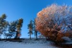 Winter Stock Photo