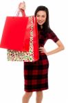 Attractive Young Lady With Shopping Bags Stock Photo