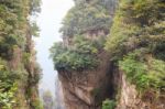 Zhangjiajie National Park ( Tian Zhi Shan ) ( Tianzi Mountain Nature Reserve ) And Fog , China Stock Photo