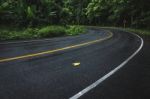 Wet Winding Road Stock Photo