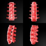 3d Rendering Illustration Of Lumbar Stock Photo