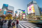 Tokyo - November 28: Pedestrians At The Famed Crossing Of Shibuy Stock Photo