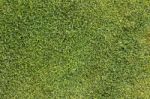 Green Grass Texture Stock Photo