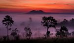 Sunrise At Tung Salang Luang Stock Photo