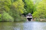 Winkworth Arboretum Stock Photo