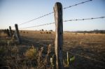 Rusted Sharp Timber And Metal Barb Wire Fence Stock Photo