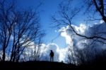 Man Standing Between Trees Stock Photo