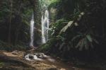 Beautiful Waterfall In Green Forest In Jungle Stock Photo