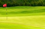 Golf Ball On Green Stock Photo